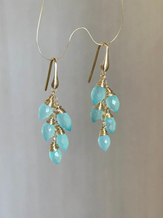 Blue Onyx Drop Earrings