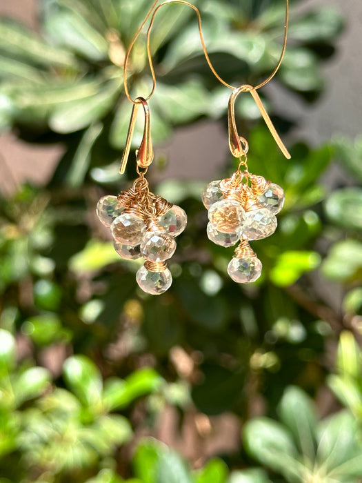 Prasiolite Dangle Earrings