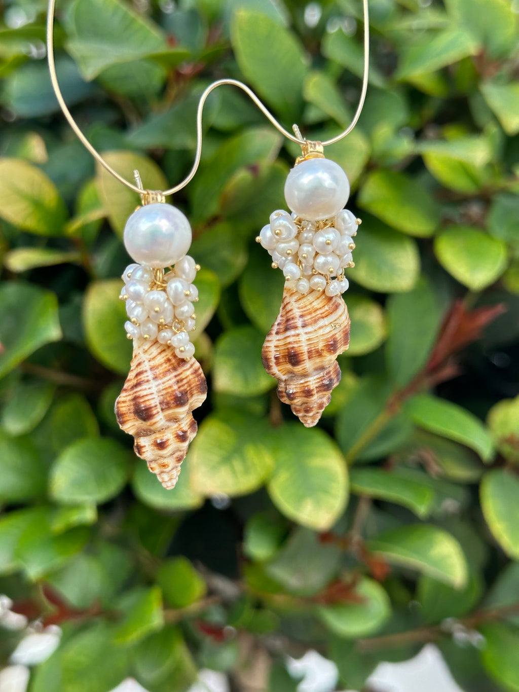 Seashell And Pearl Drop Earrings