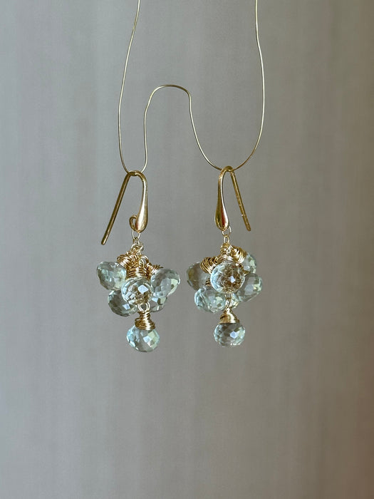 Prasiolite Dangle Earrings