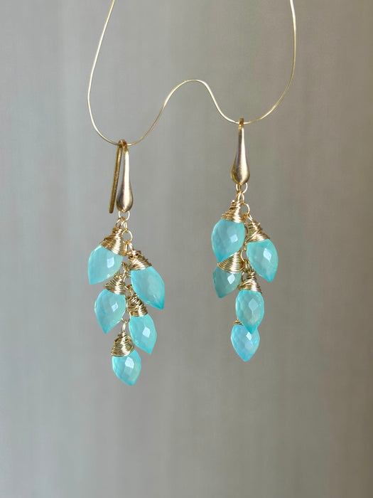 Blue Onyx Drop Earrings