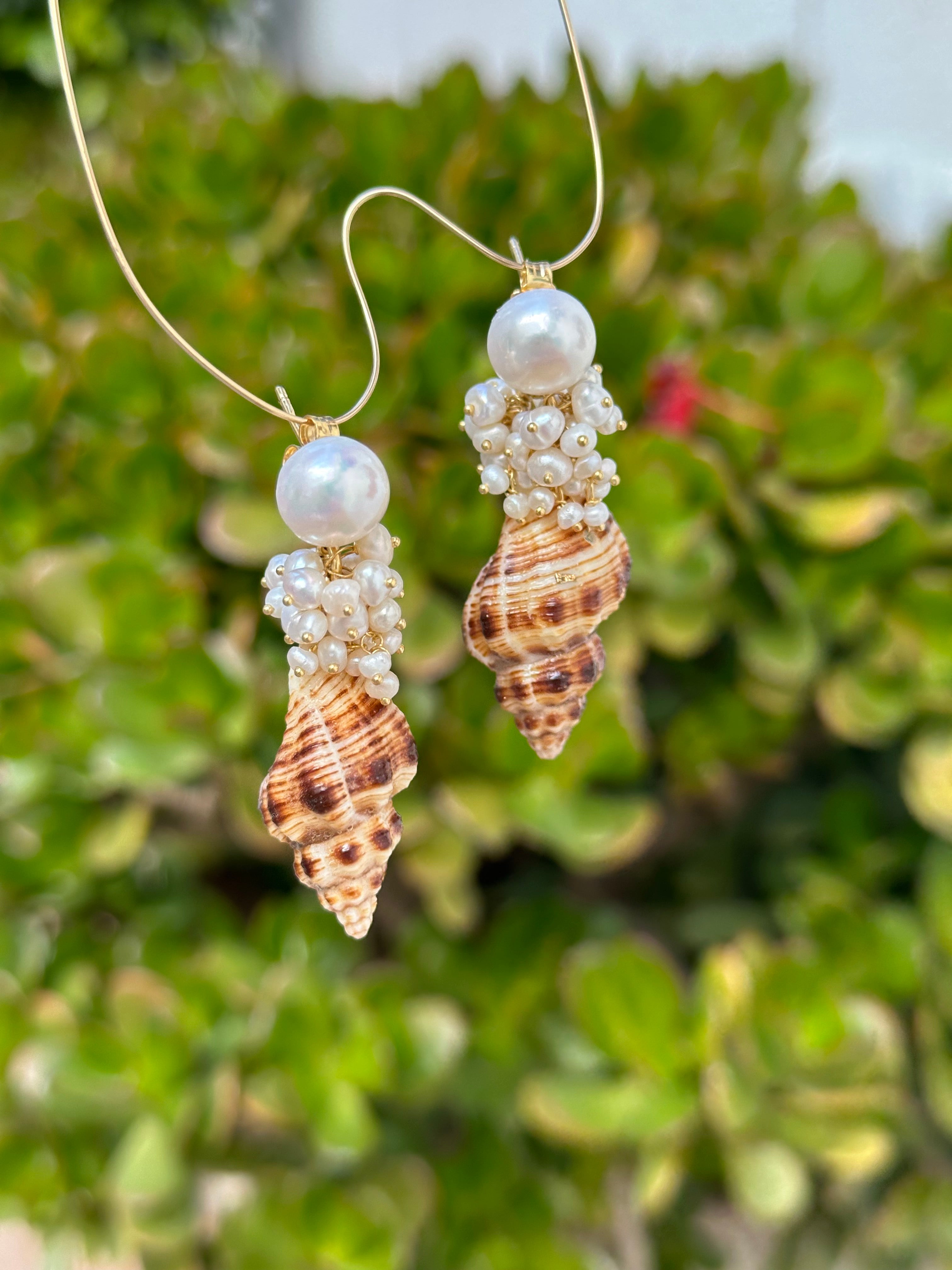Seashell And Pearl Drop Earrings