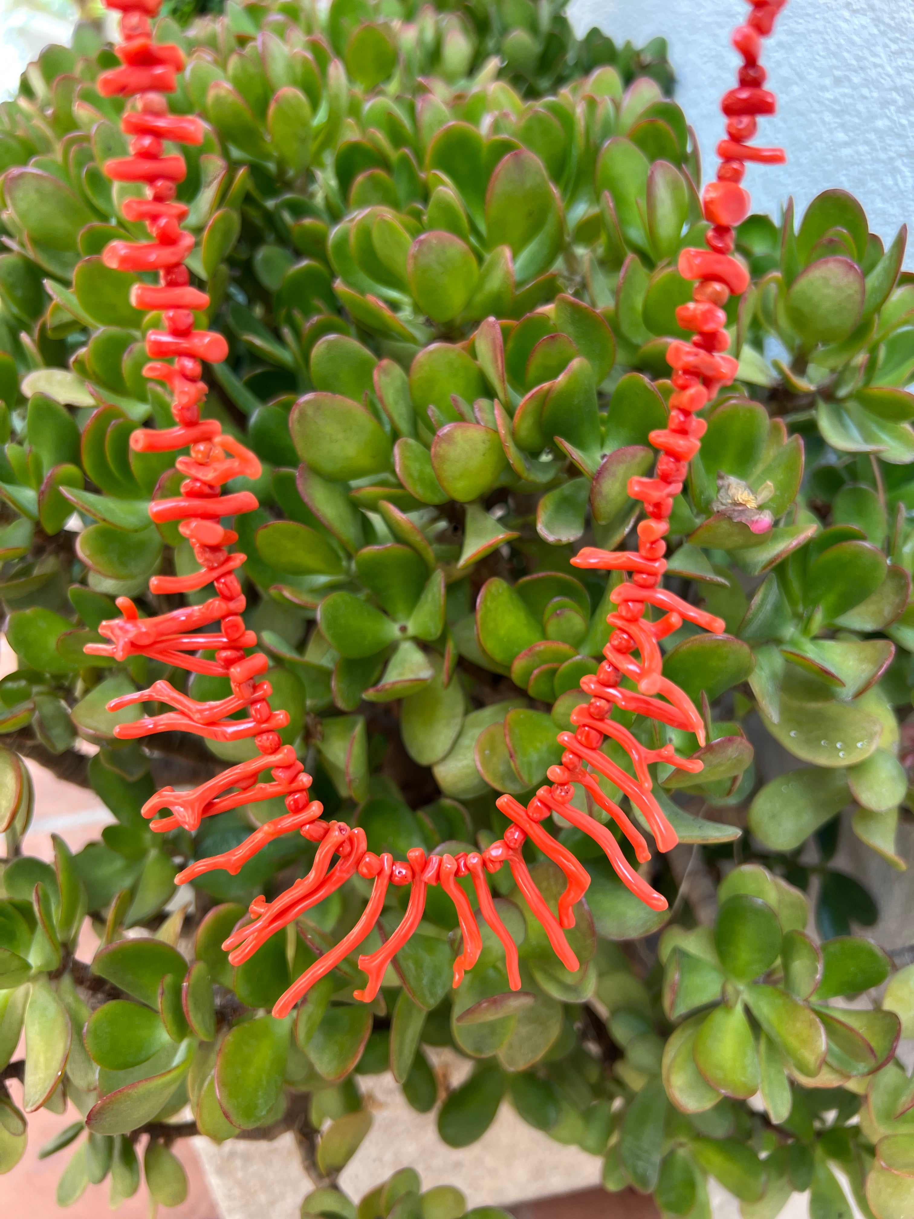Red Coral Branch Necklace