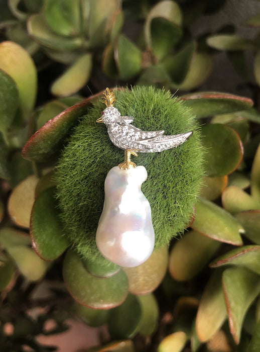 Parrot on Baroque Pearl Brooch