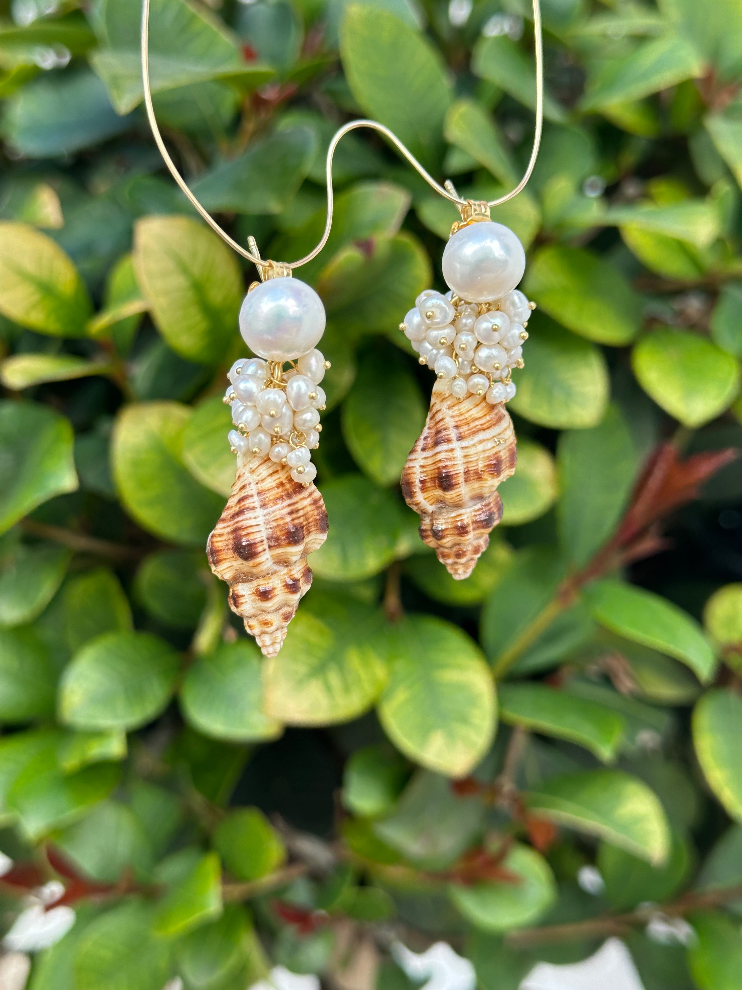 Seashell And Pearl Drop Earrings