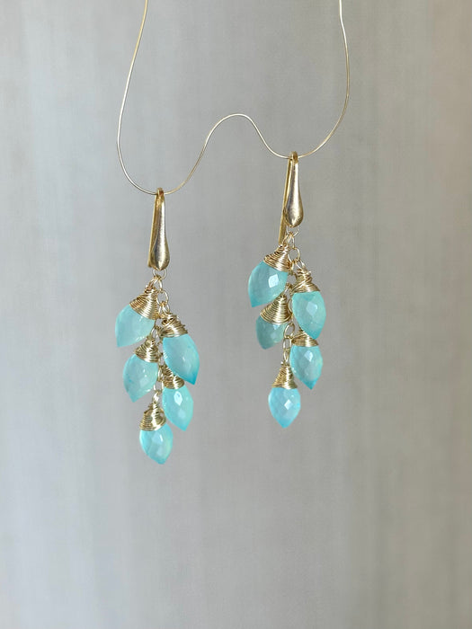 Blue Onyx Drop Earrings