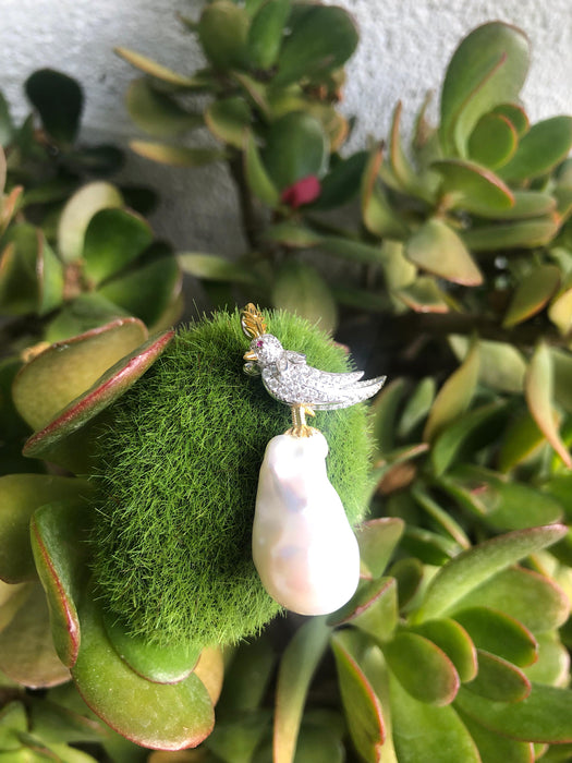 Parrot on Baroque Pearl Brooch