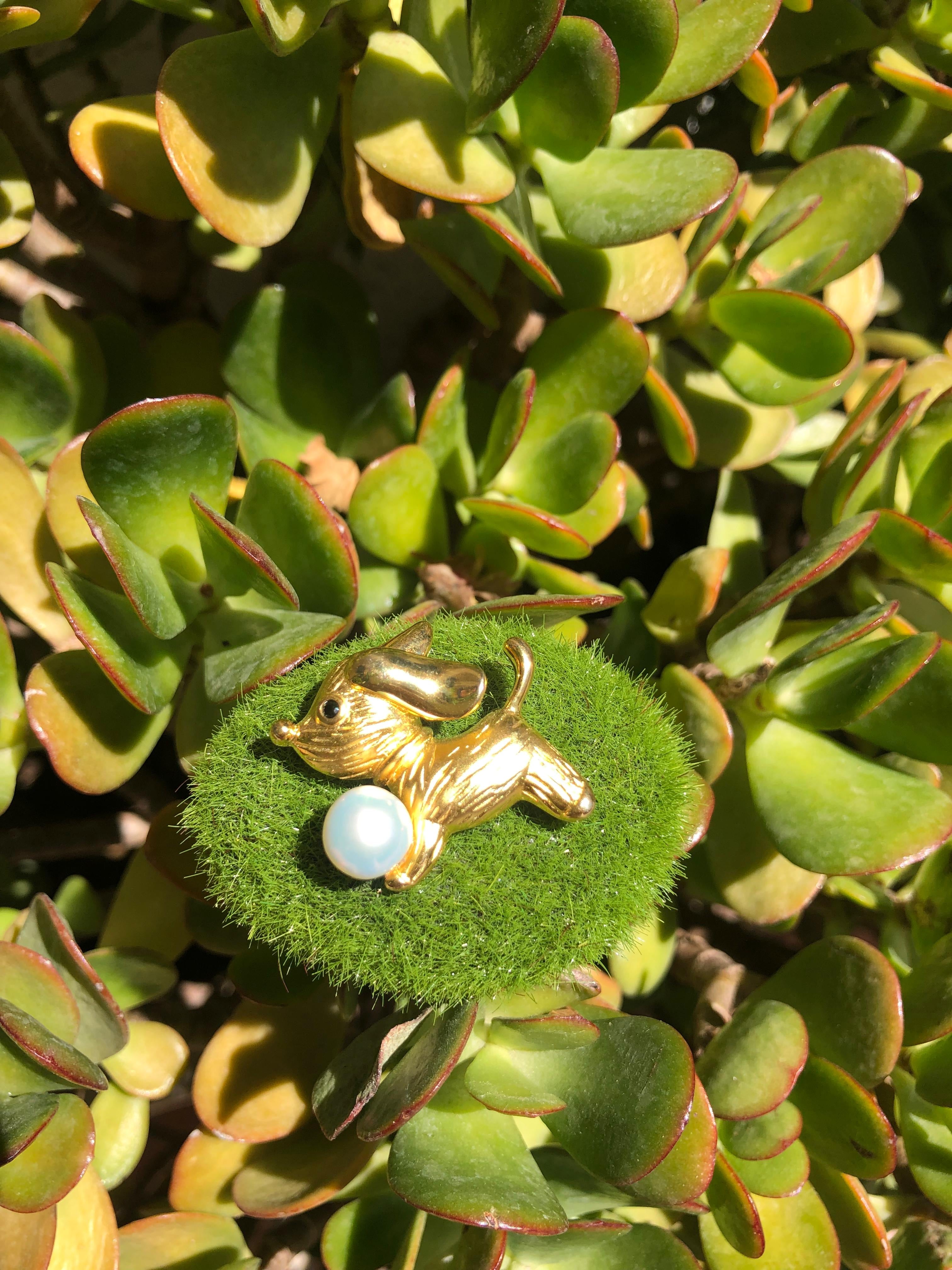 Dog With Pearl Brooch