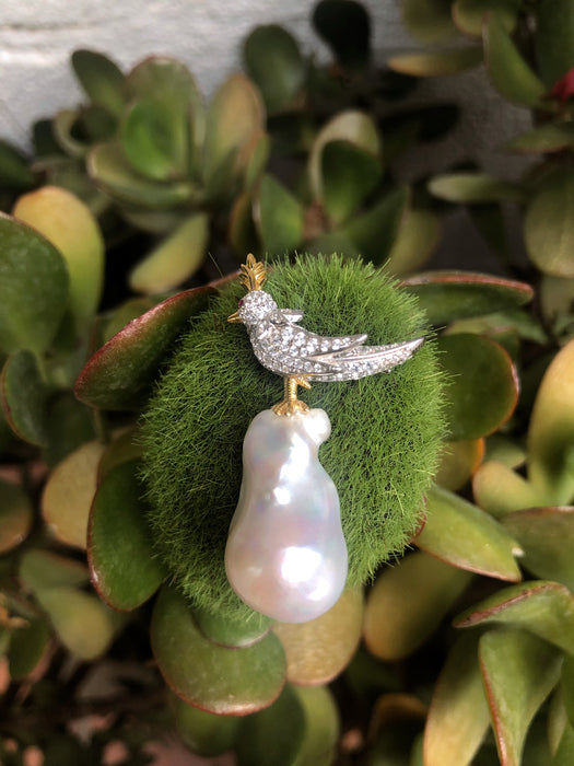 Parrot on Baroque Pearl Brooch