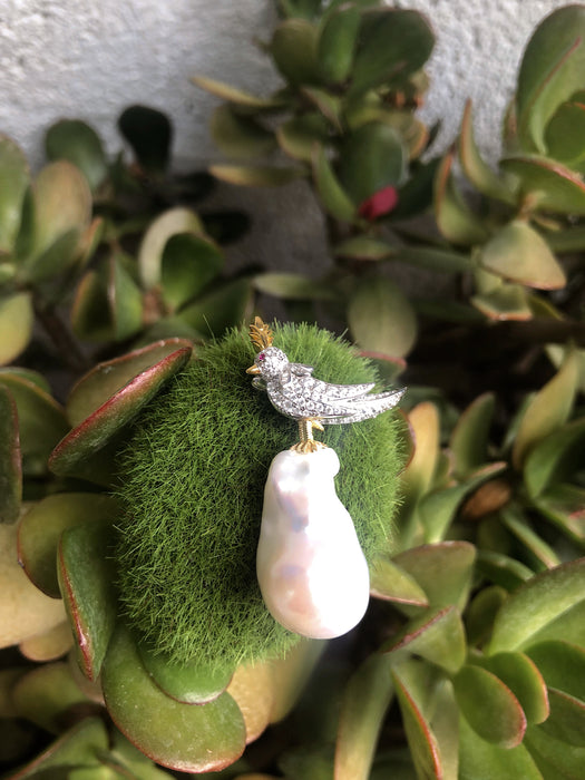 Parrot on Baroque Pearl Brooch