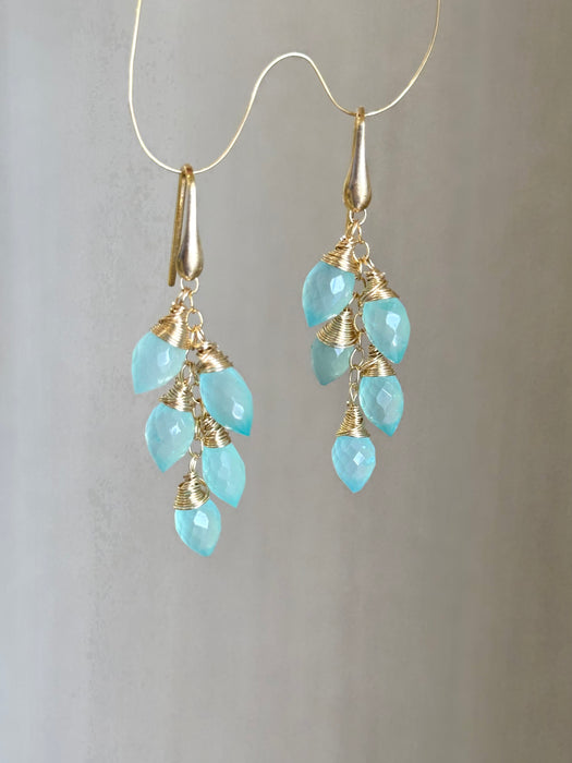 Blue Onyx Drop Earrings