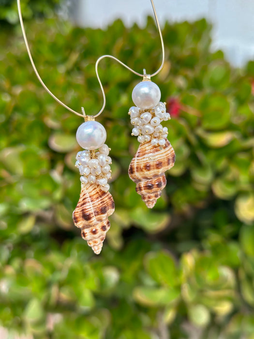 Seashell And Pearl Drop Earrings