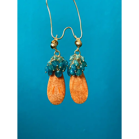 Coral drop earrings Ariel natural sponge coral and apatite