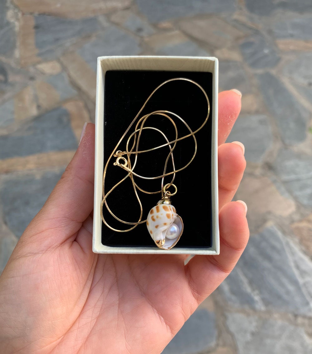 Shell with pearl necklace