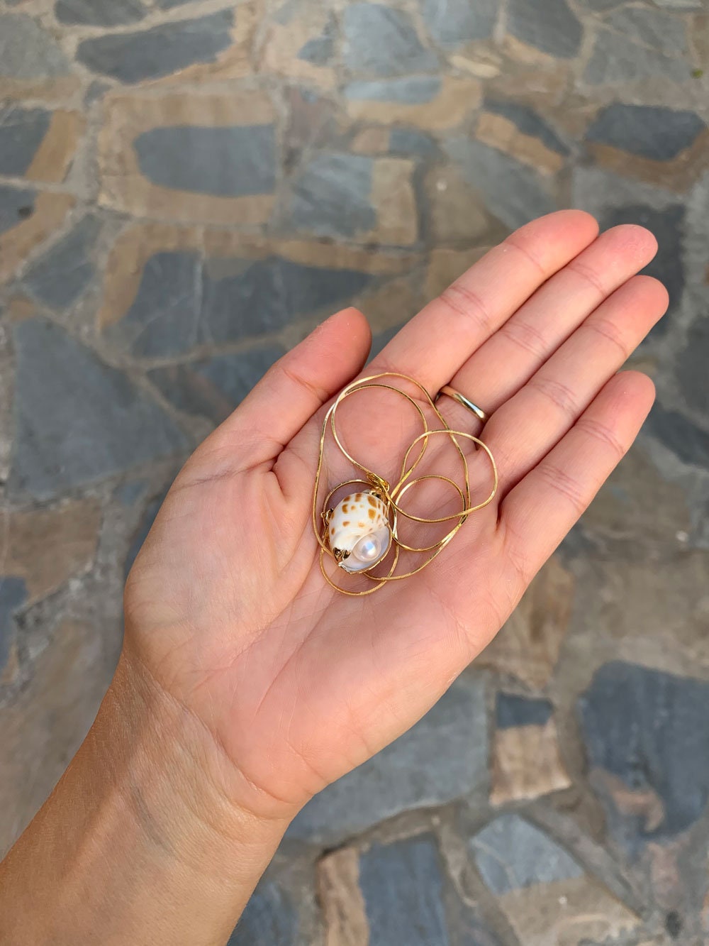 Shell with pearl necklace