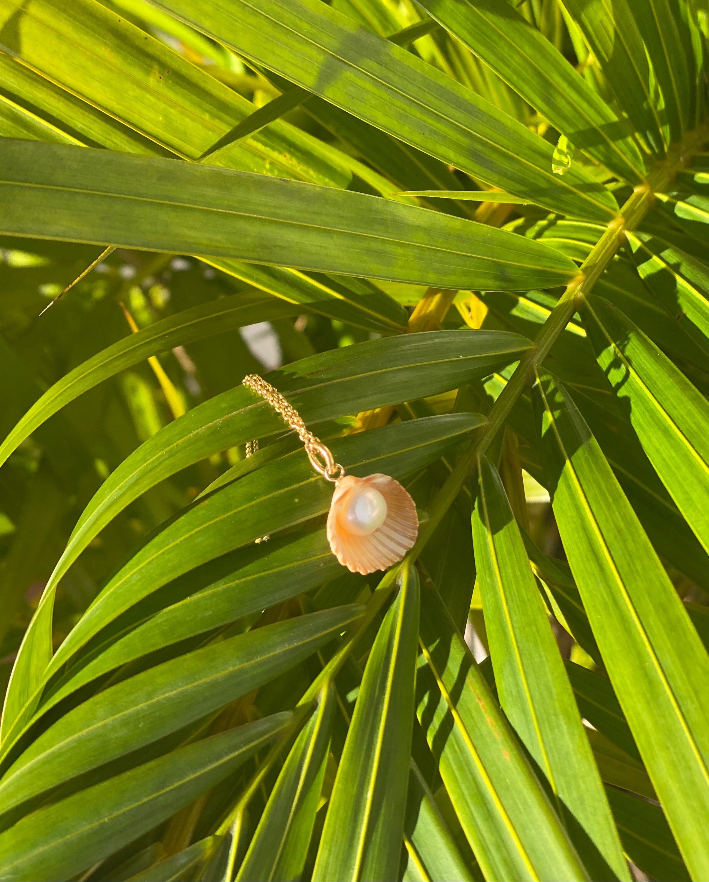 Real Pearl in a Sea Shell Necklace.