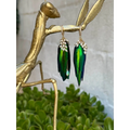 Jewel beetle Elytra wings mismatched earrings with fresh