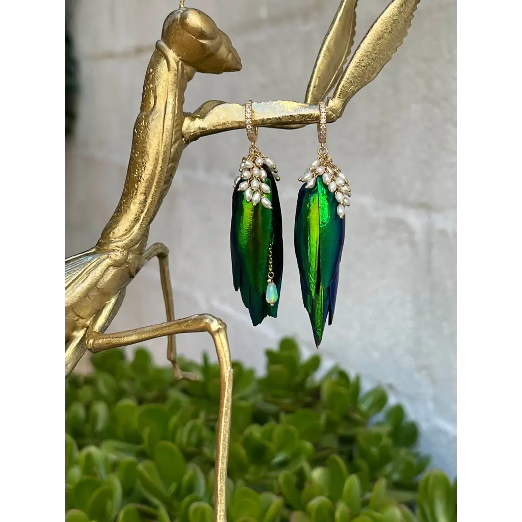 Jewel beetle Elytra wings mismatched earrings with fresh