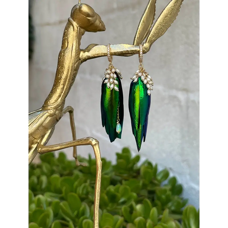 Jewel beetle Elytra wings mismatched earrings with fresh