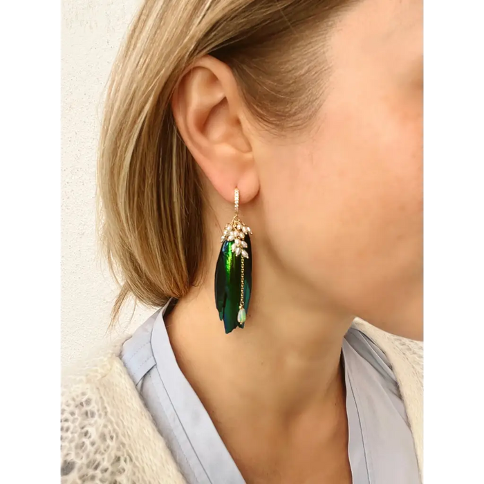 Jewel beetle Elytra wings mismatched earrings with fresh