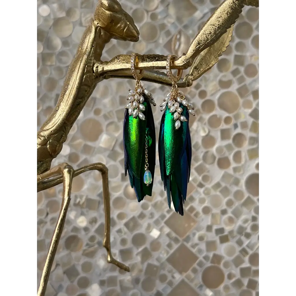 Jewel beetle Elytra wings mismatched earrings with fresh