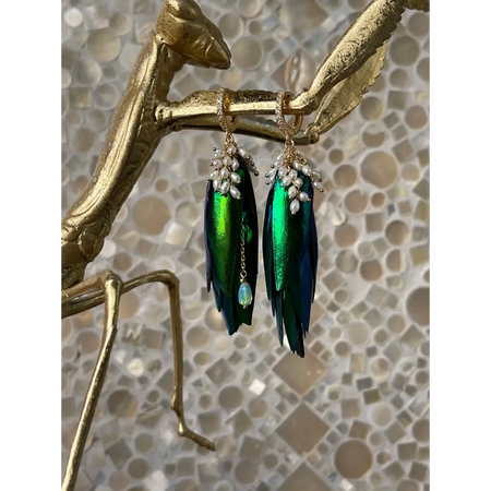 Jewel beetle Elytra wings mismatched earrings with fresh