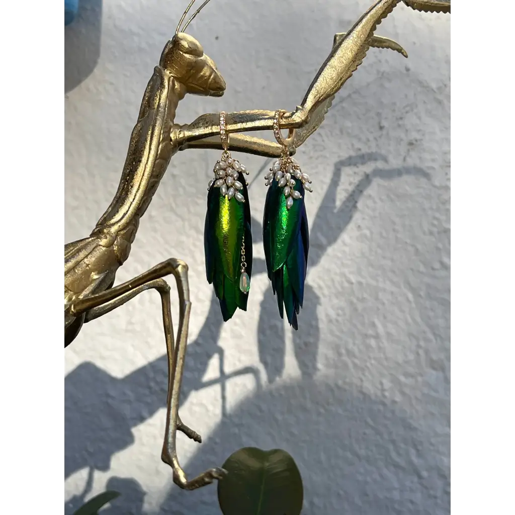 Jewel beetle Elytra wings mismatched earrings with fresh