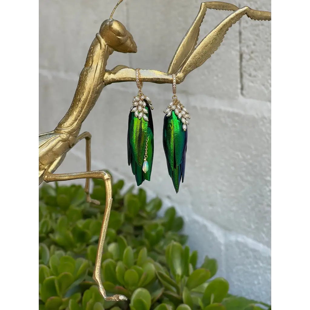 Jewel beetle Elytra wings mismatched earrings with fresh