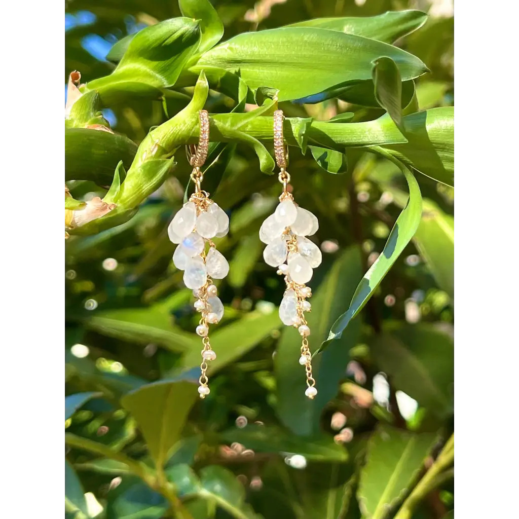 Moonstone earrings Luna rainbow moonstone and pearl bridal