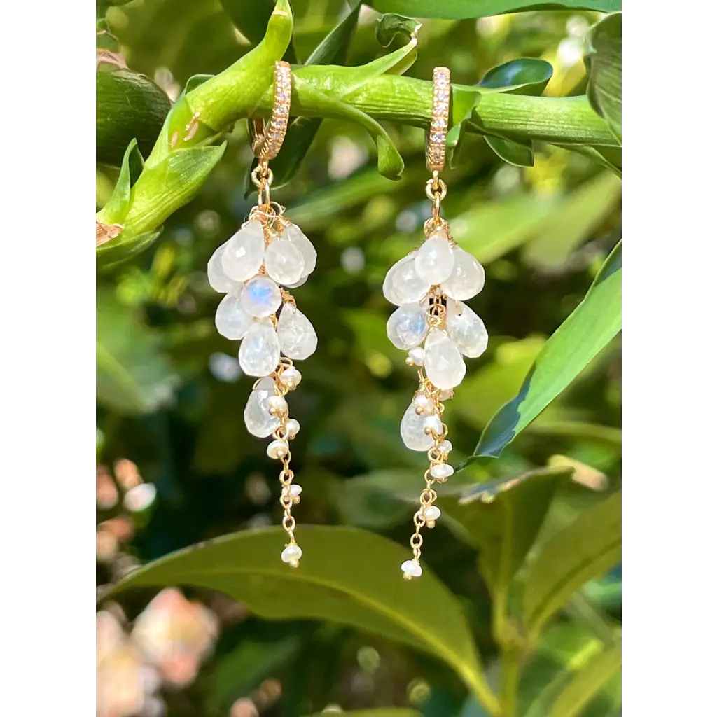 Moonstone earrings Luna rainbow moonstone and pearl bridal