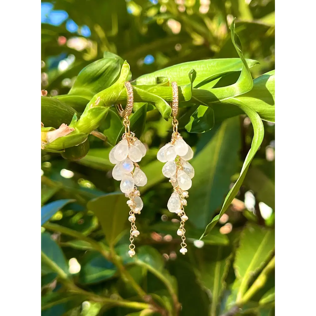 Moonstone earrings Luna rainbow moonstone and pearl bridal