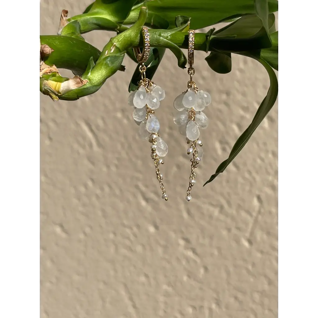 Moonstone earrings Luna rainbow moonstone and pearl bridal