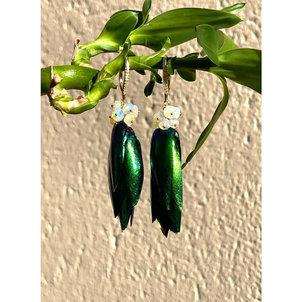 Scarab drop earrings “Escarabajo” real jewel beetle Elytra