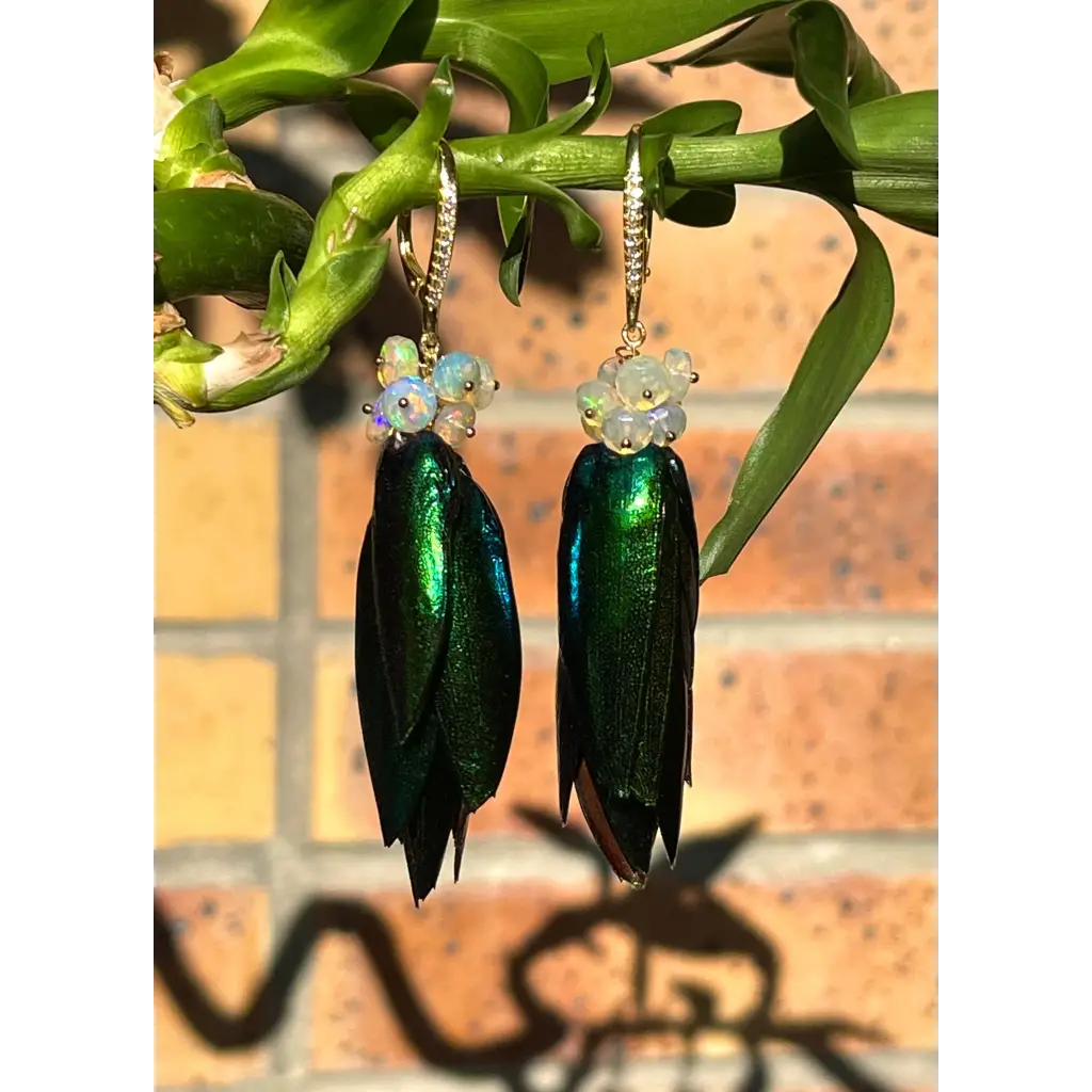 Scarab drop earrings “Escarabajo” real jewel beetle Elytra