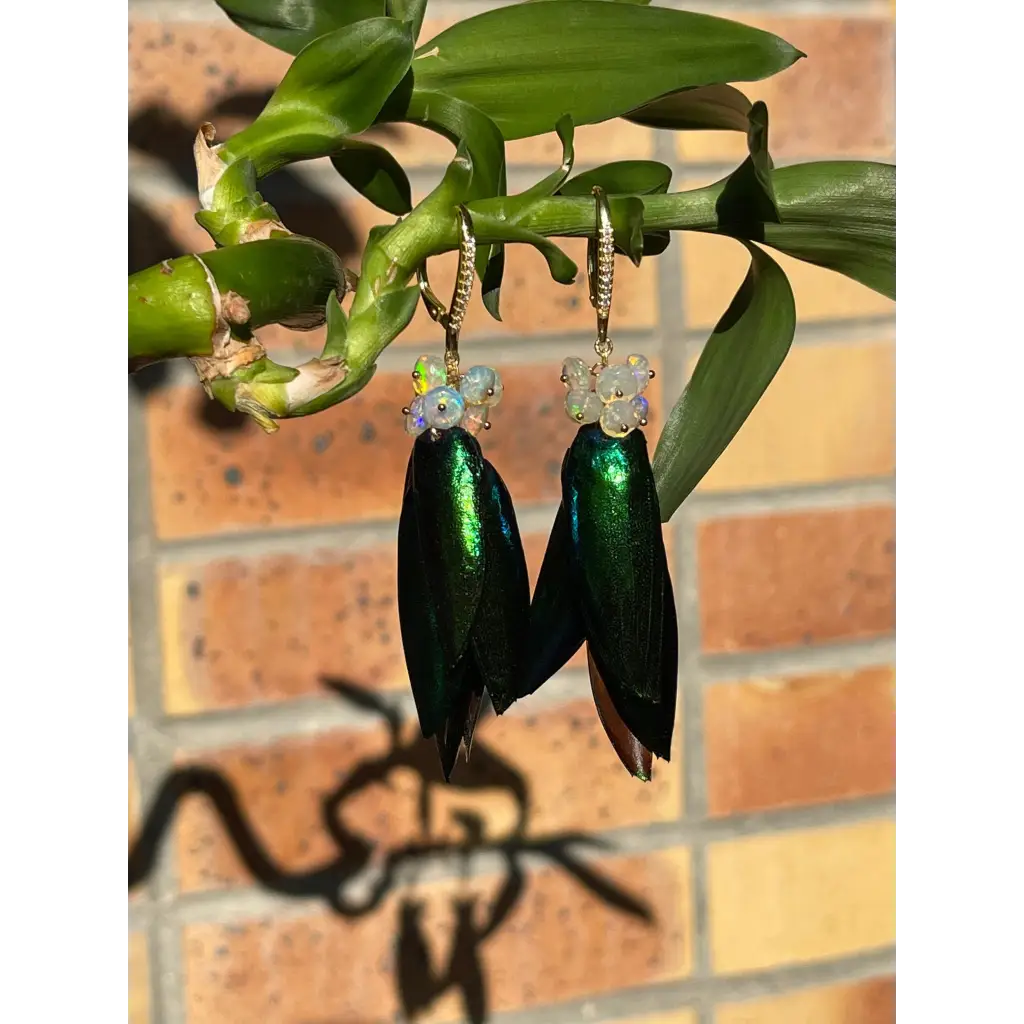 Scarab drop earrings “Escarabajo” real jewel beetle Elytra