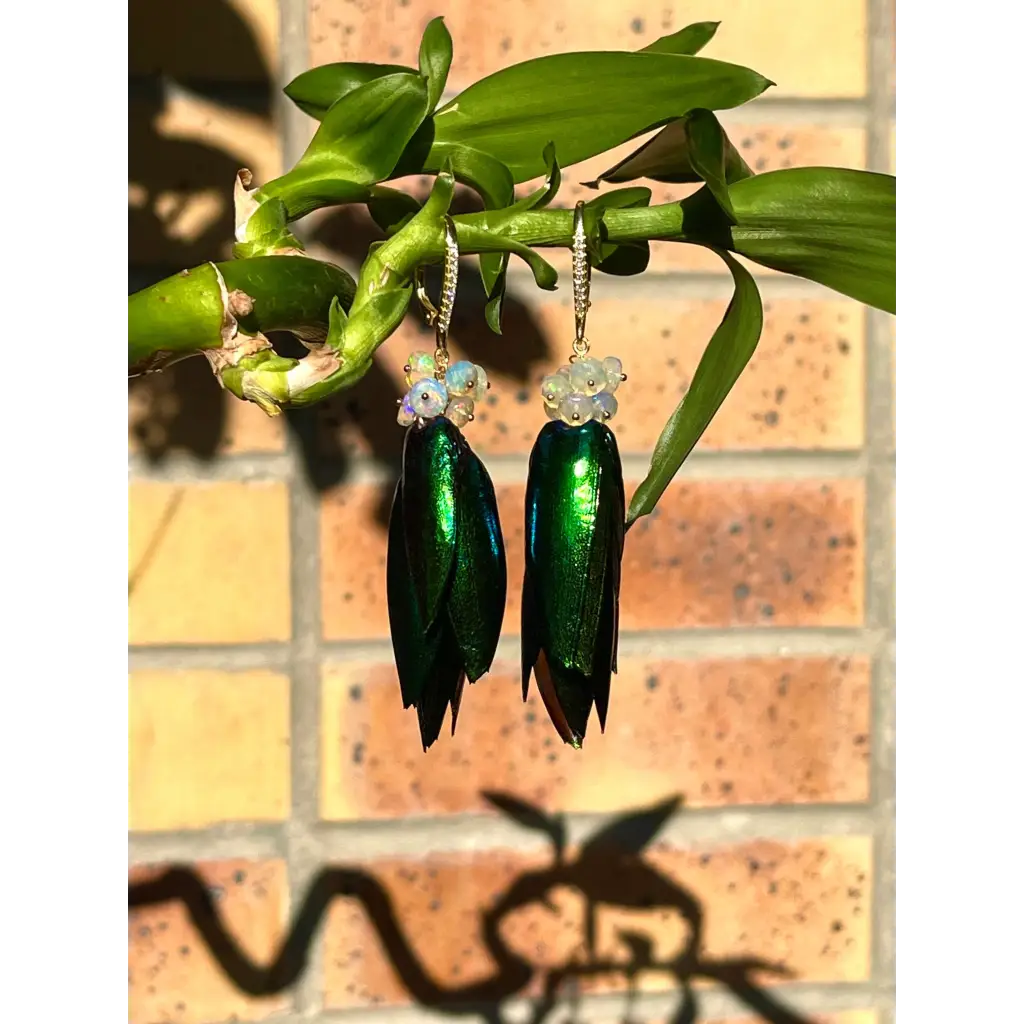 Scarab drop earrings “Escarabajo” real jewel beetle Elytra