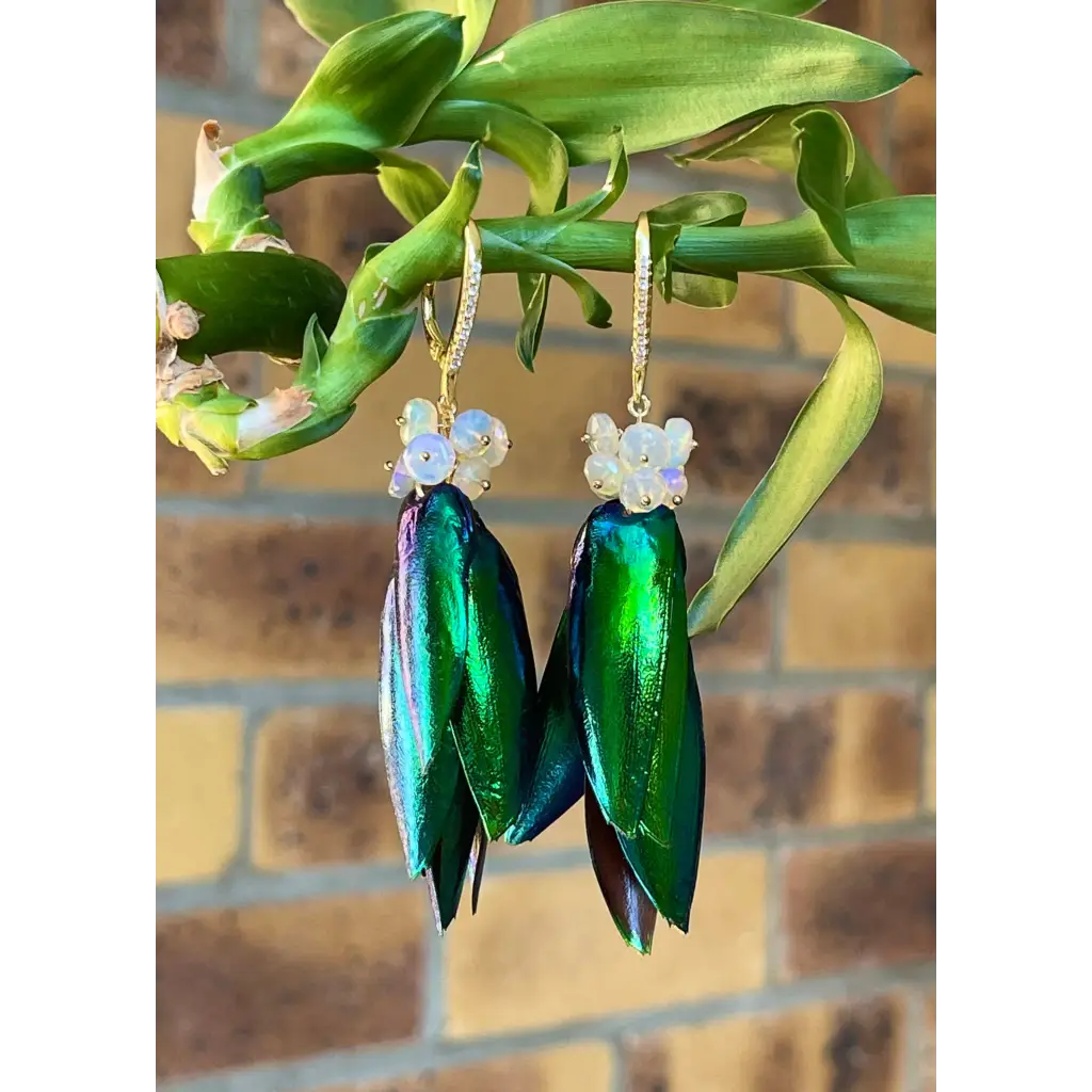 Scarab drop earrings “Escarabajo” real jewel beetle Elytra