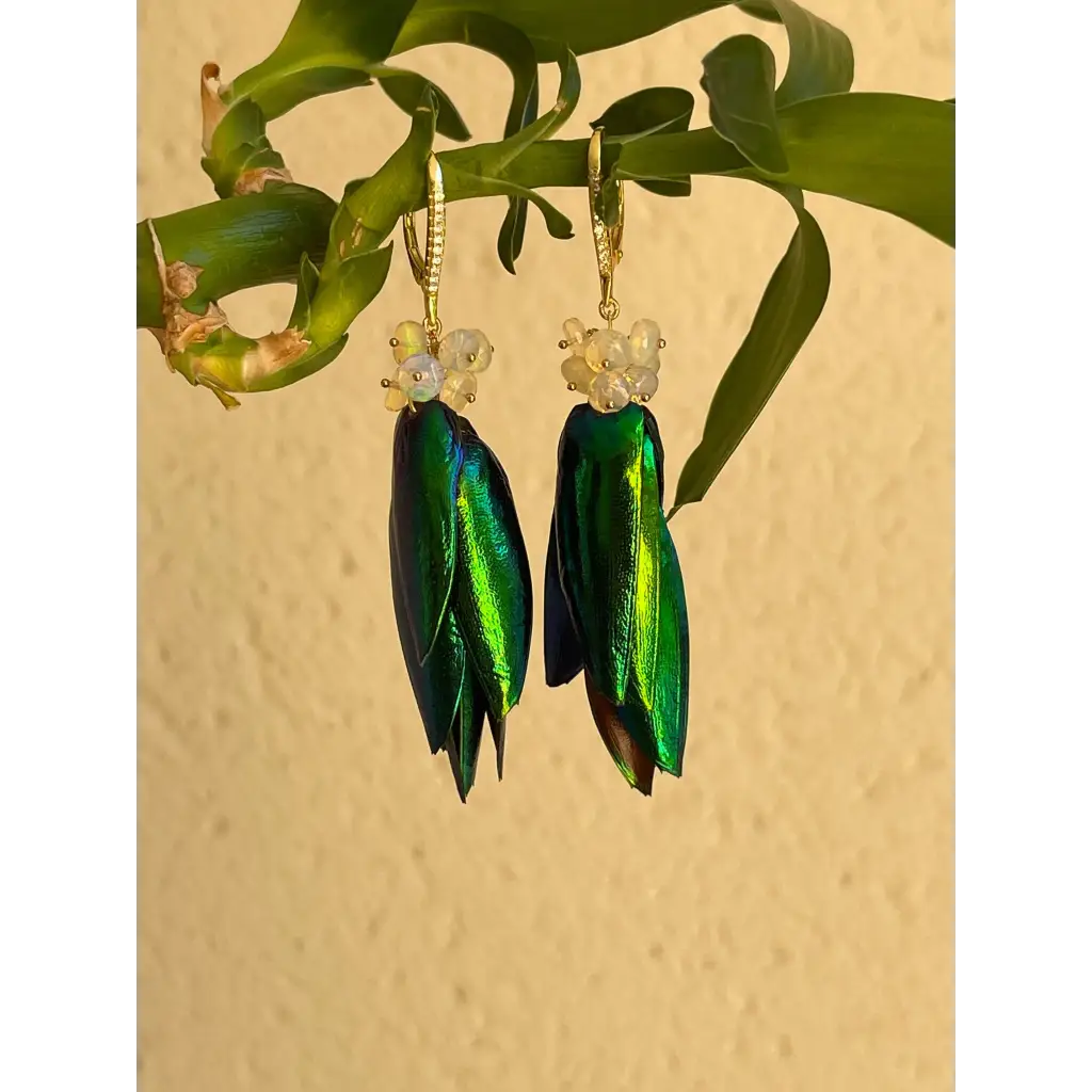Scarab drop earrings “Escarabajo” real jewel beetle Elytra