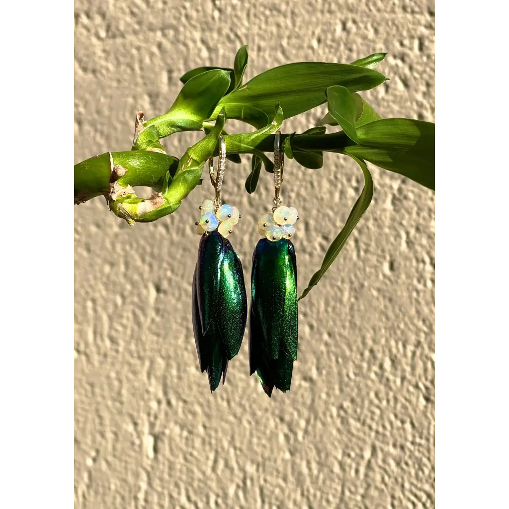 Scarab drop earrings “Escarabajo” real jewel beetle Elytra