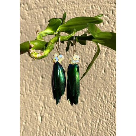 Scarab drop earrings “Escarabajo” real jewel beetle Elytra