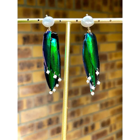 Scarab drop earrings “Escarabajo” real jewel beetle Elytra