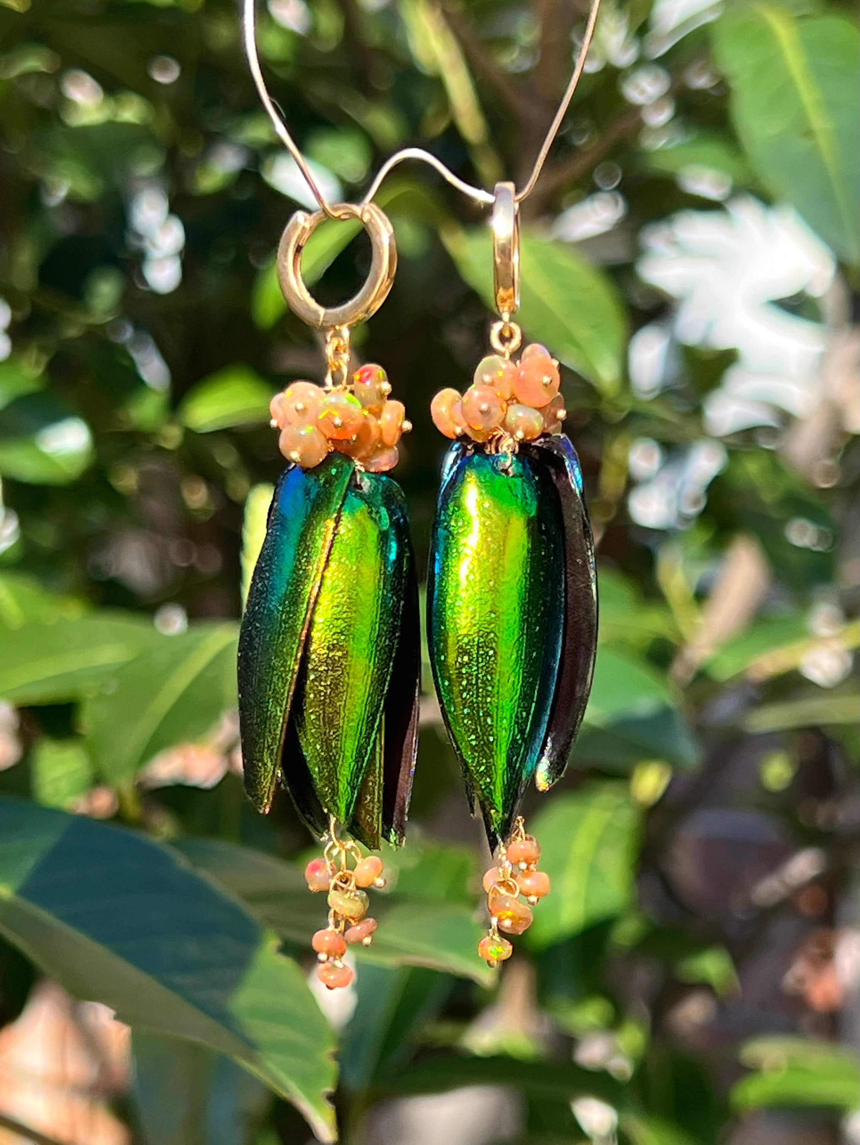 Scarab Earrings Tropica Dangle & Drop Earrings
