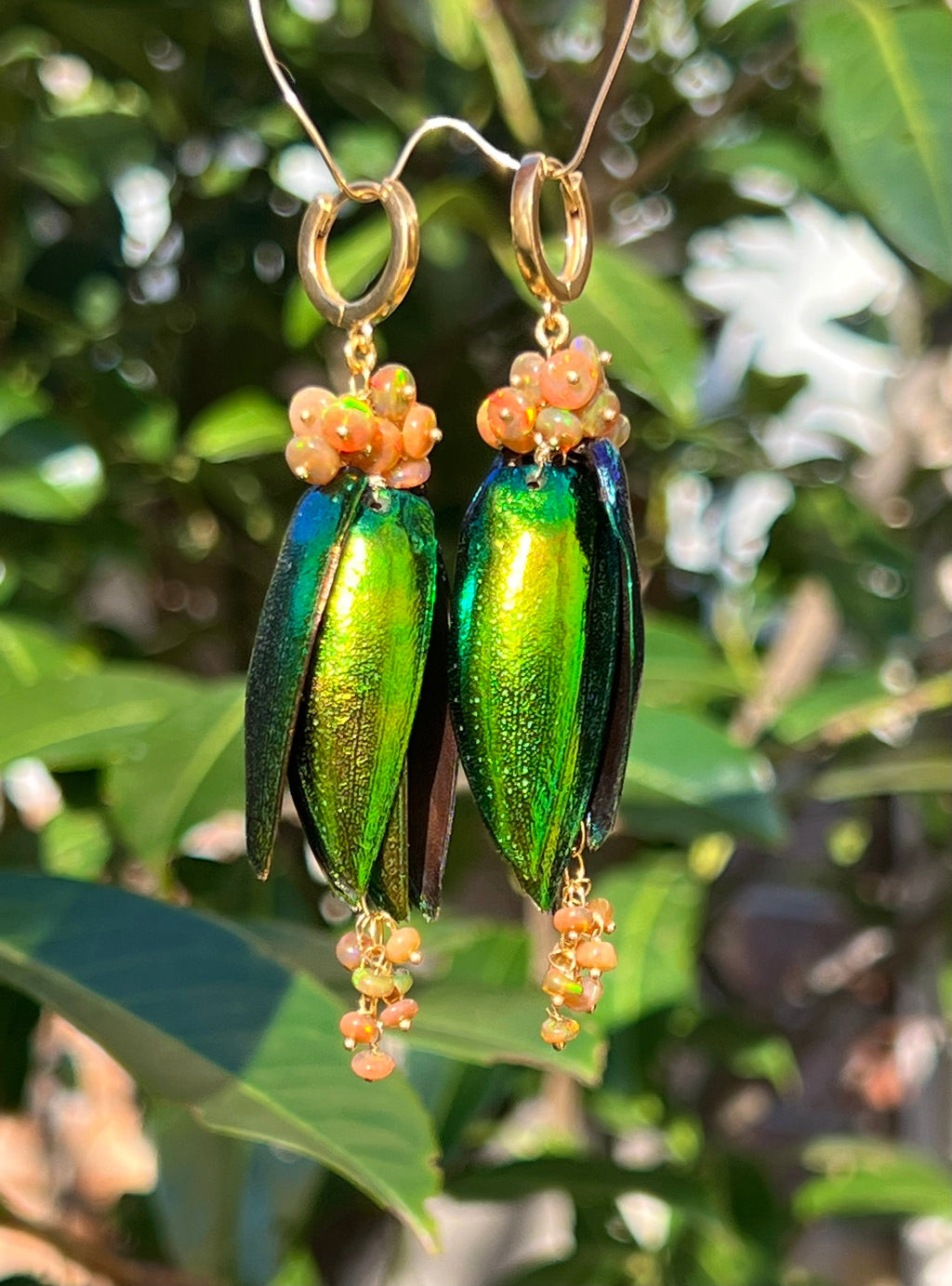 Scarab Earrings Tropica Dangle & Drop Earrings