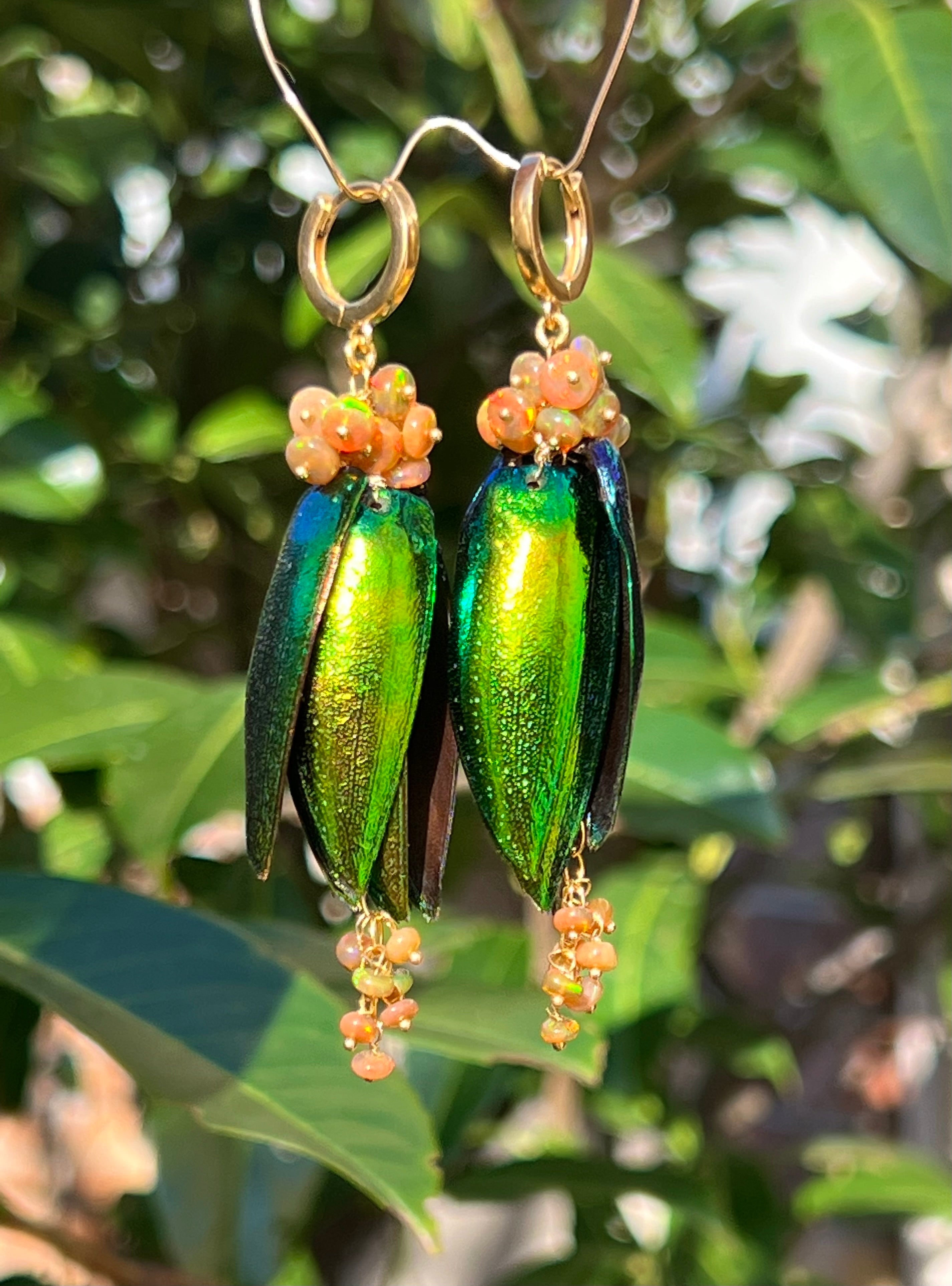 Scarab Earrings Tropica Dangle & Drop Earrings